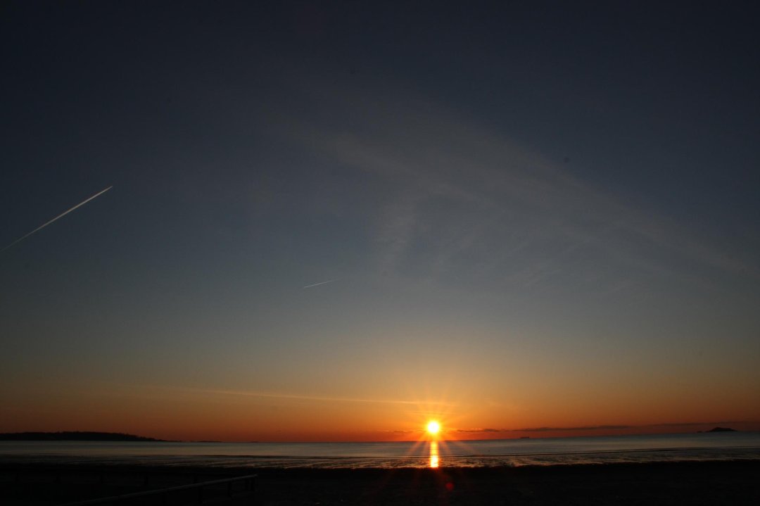 Janet McElligott's album, Cover Photos