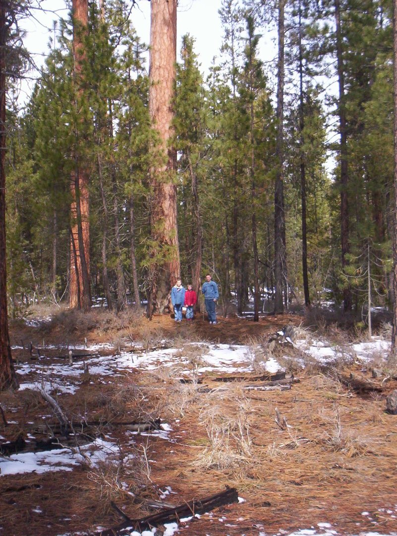 Arthur Scripture's album, 2011 hike