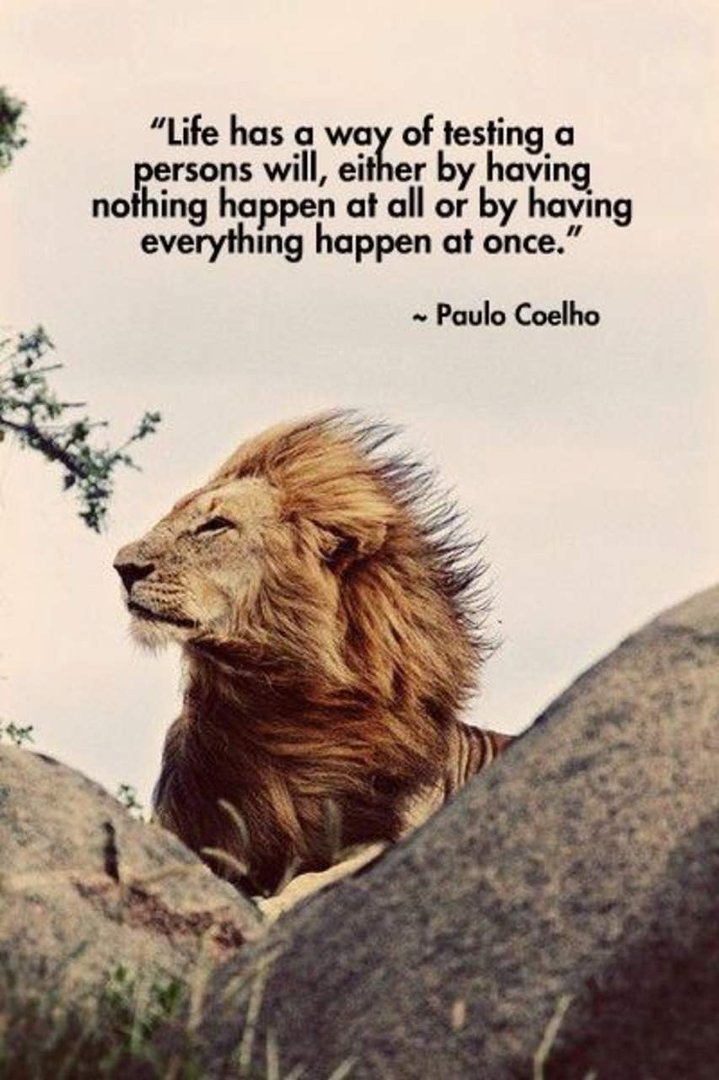 Lorraine Vespoli's album, Timeline Photos