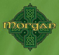 Alan Morgan's album, Profile Pictures