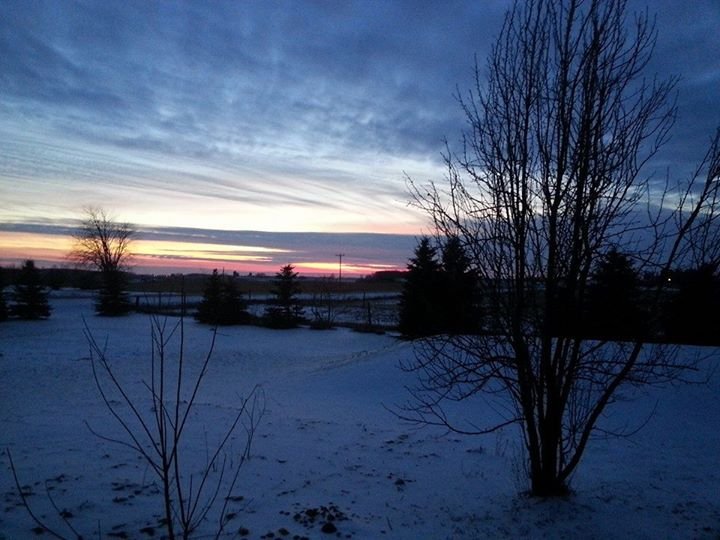 Cindy Bilquist's album, Mobile Uploads