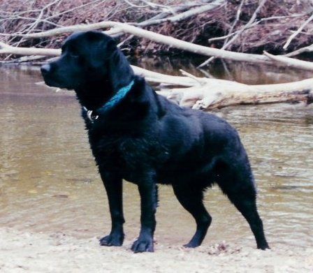 Christine Seidner's album, Profile Pictures