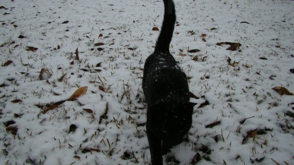 Perry Ballard's album, Snow in Opp Alabama