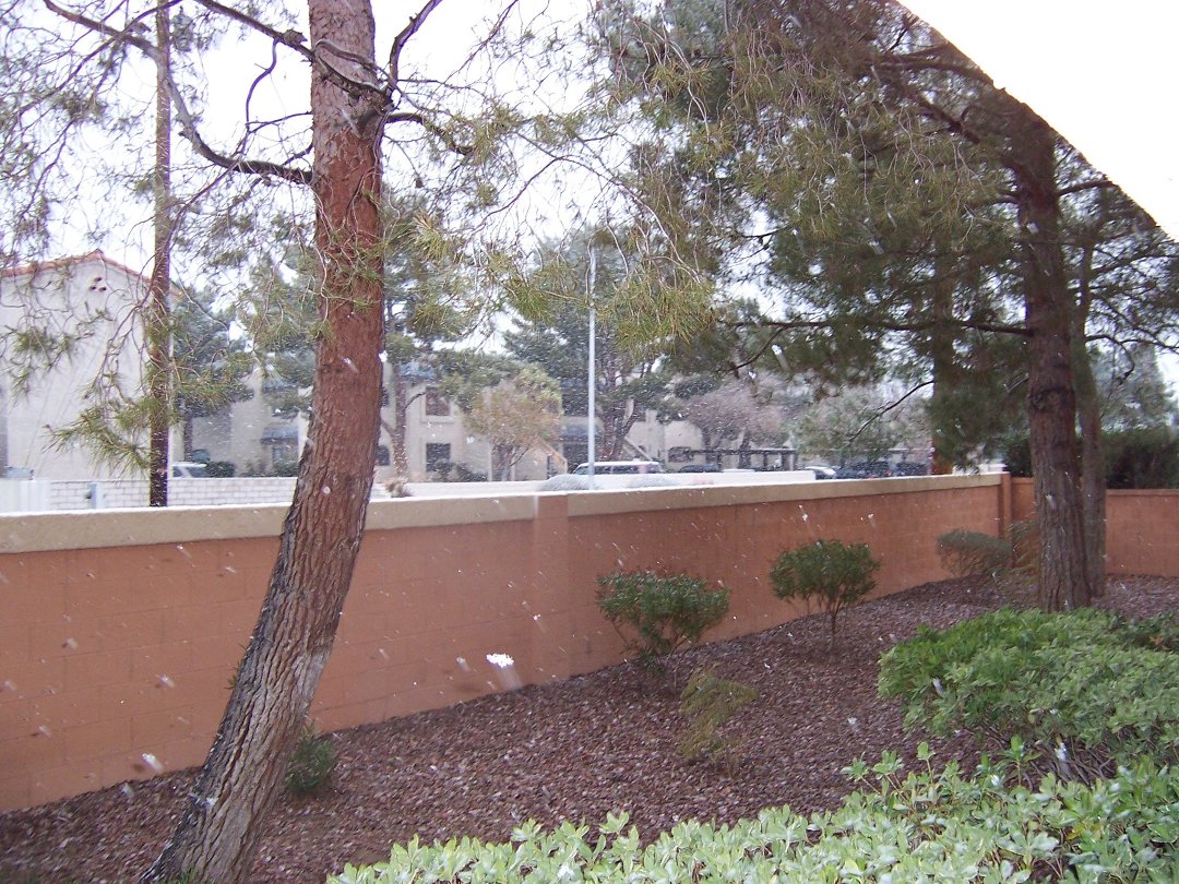 Victoria Isenbletter's album, January 14, 2011