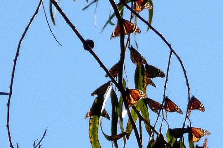 Jack Stacey's album, January 20, 2011