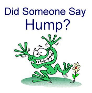 toni jones' album, Timeline Photos
