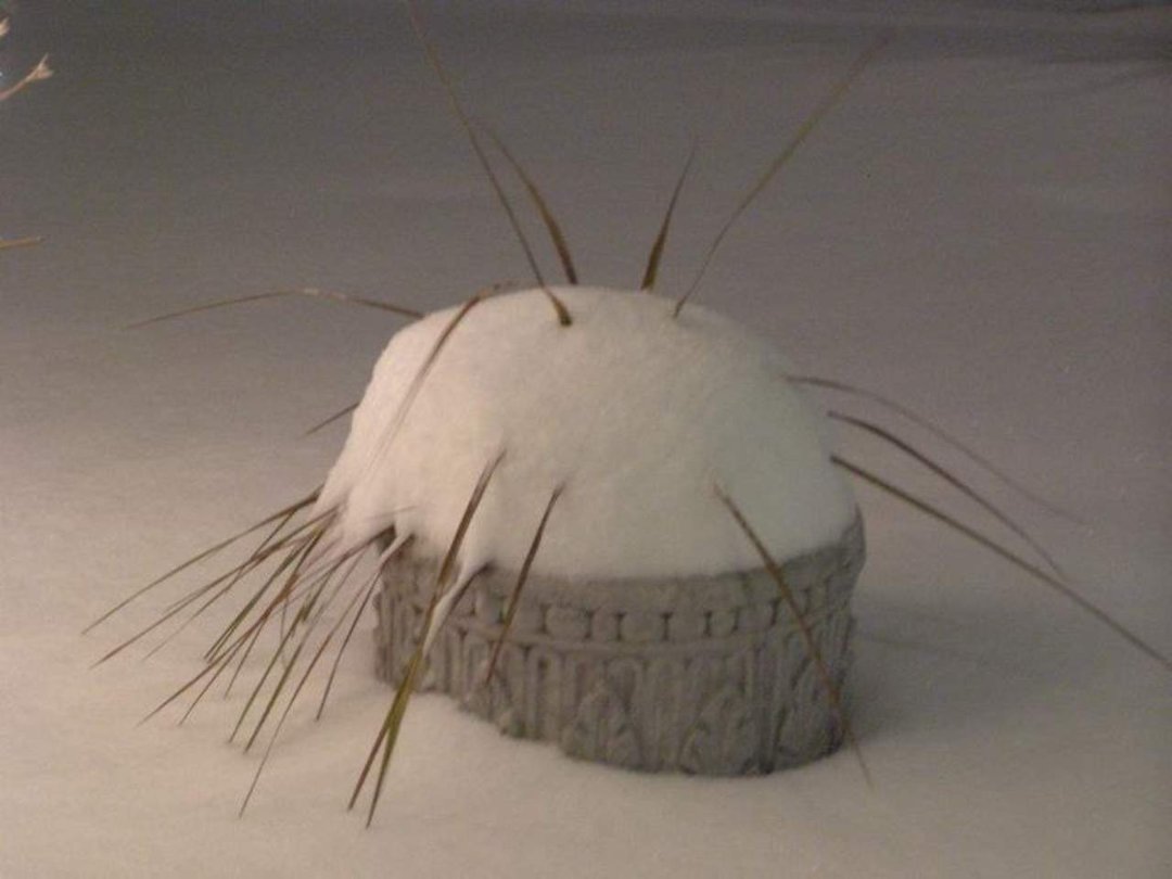 Terry Hornburg's album, winter