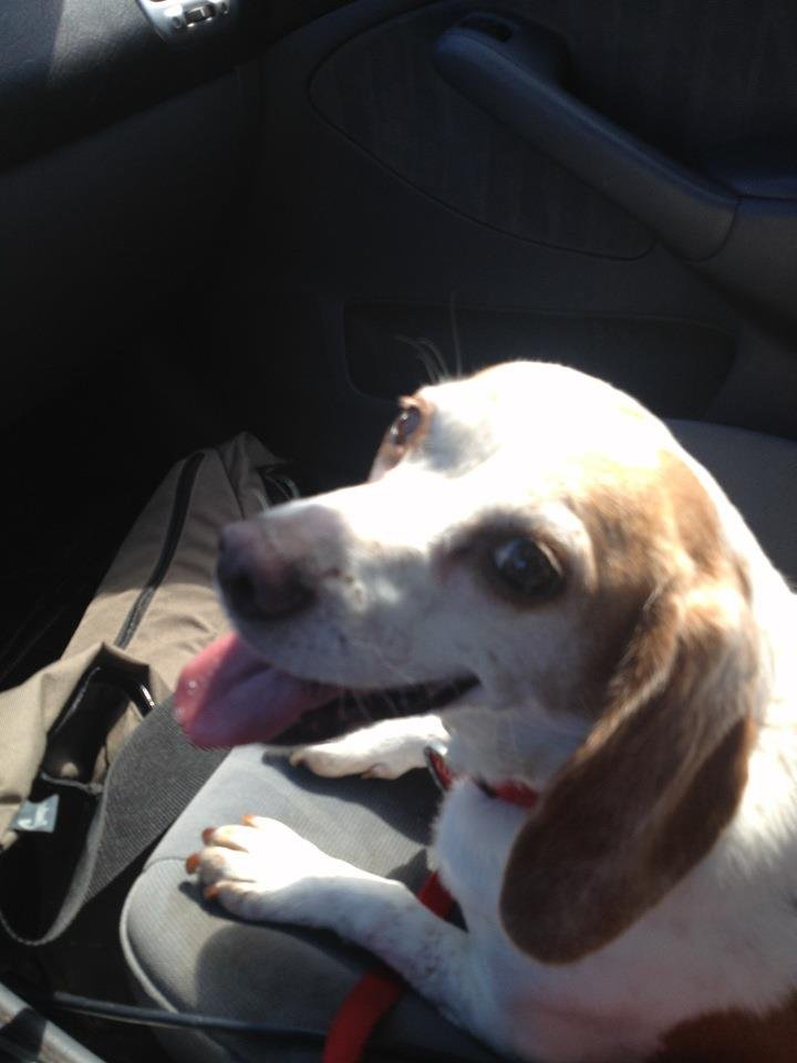 S Leon's album, Mobile Uploads