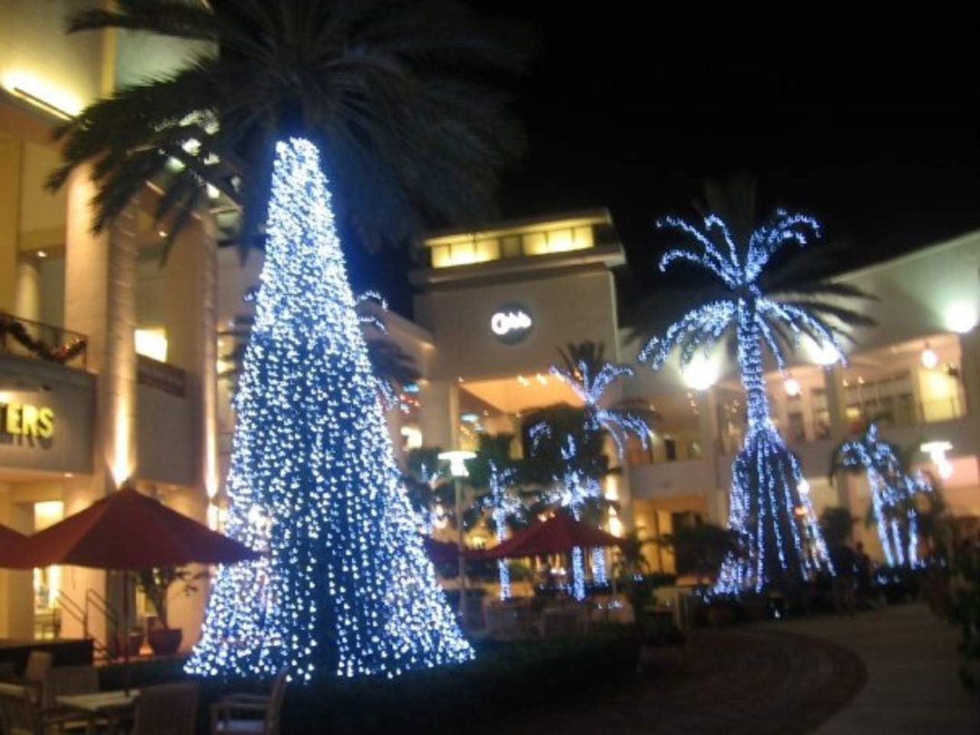 Bret Roberts' album, X-Mas time in Palm Beach Gardens 09'