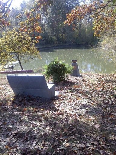 Shari Sweeney's album, Timeline Photos