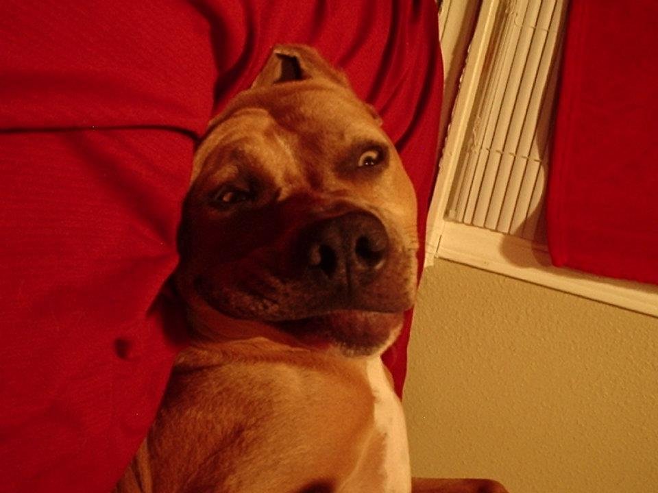 Cody Clark's album, Layla