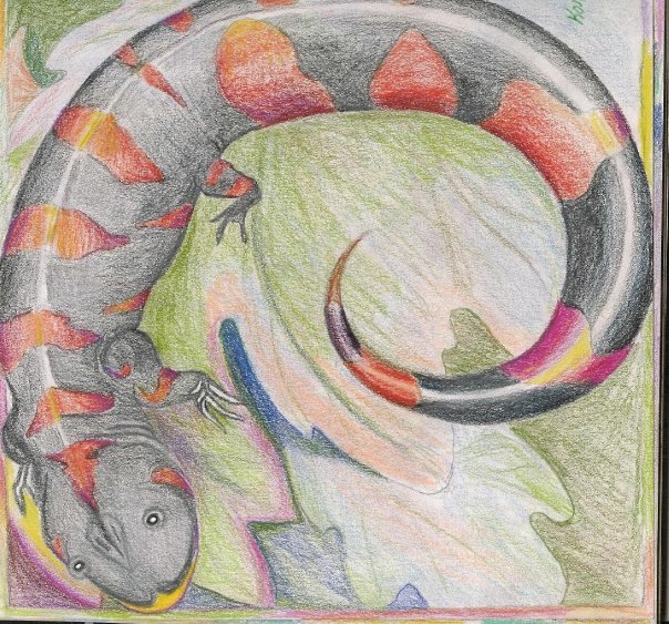 Sandra Murphy's album, Hot art