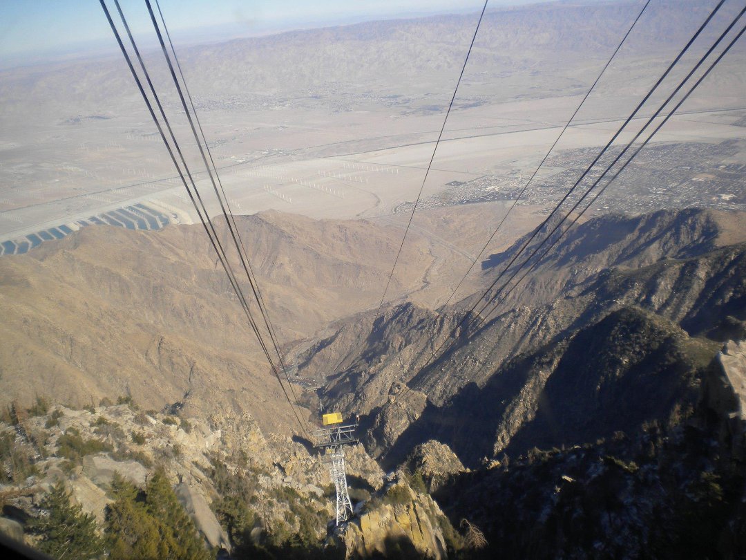Dan Crouch's album, Palm Springs
