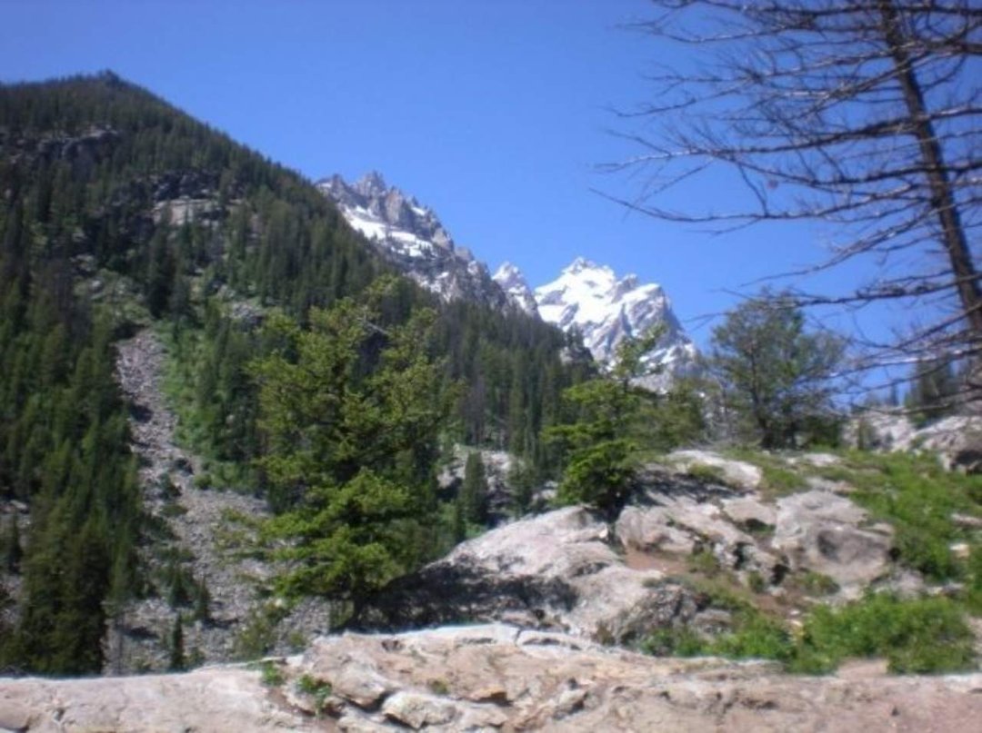 Lynden Kellis' album, Tetons / Yellowstone 2009
