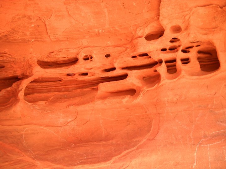 Jeff Brown's album, Spring 2010