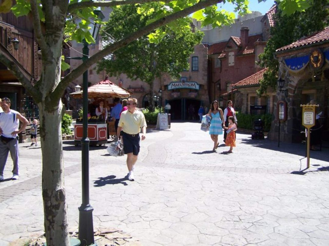 Peter Ticknor's album, Flower show at Epcot