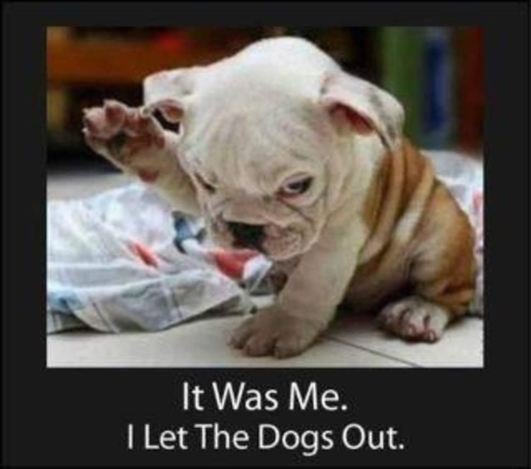 Pilialoha Agliam's album, Timeline Photos