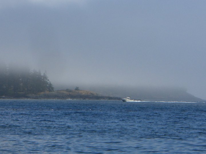 David Bouchard's album, Garry's visit