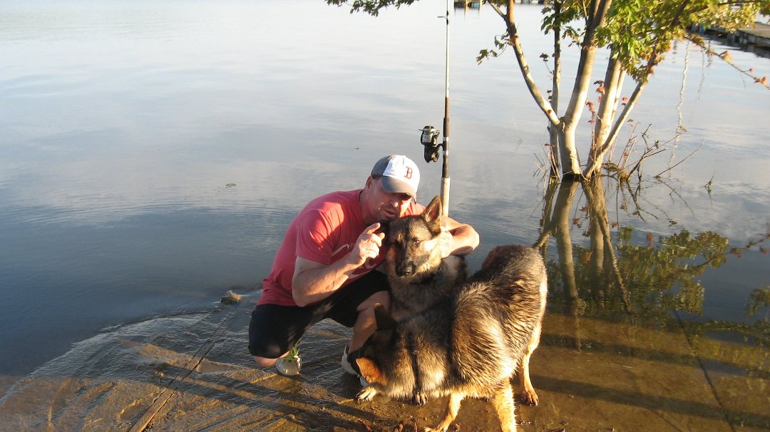 Heather Murphy's album, ginger and moose at the marina