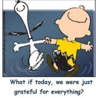 Claudia Kroll's album, Timeline Photos