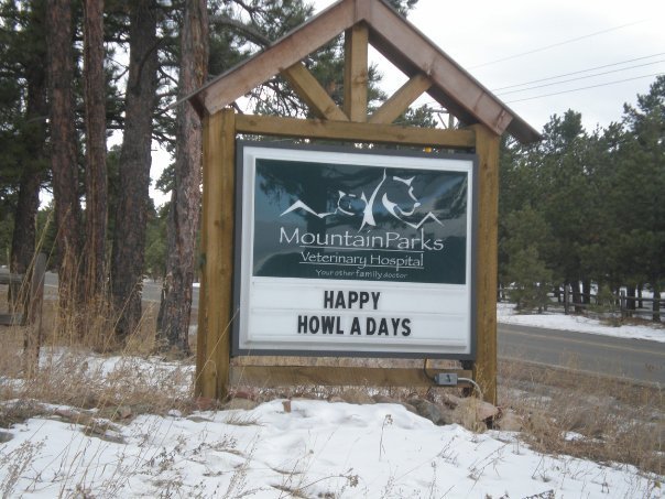 Nancy Mackrin's album, Colorado