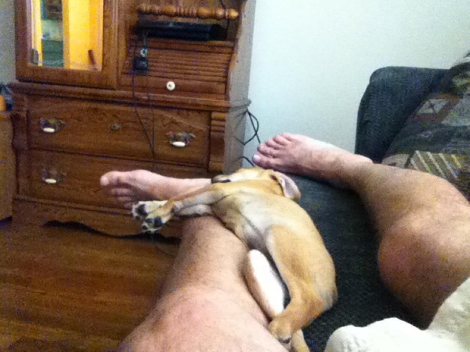 Brad Beckley's album, Mobile Uploads