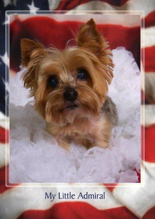 Beverly Dunkle's album, Admiral