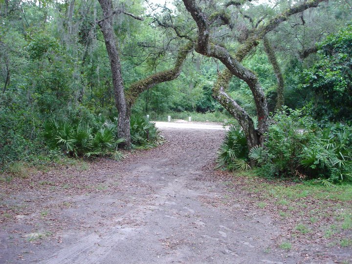 Mary Pick's album, Life in Brooksville