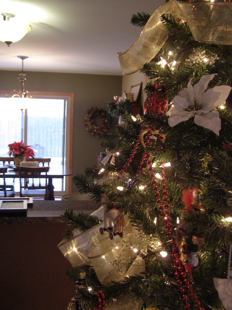Terry Hornburg's album, Christmas 2010