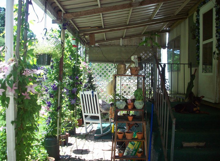 Paula Chevalier's album, My Patio