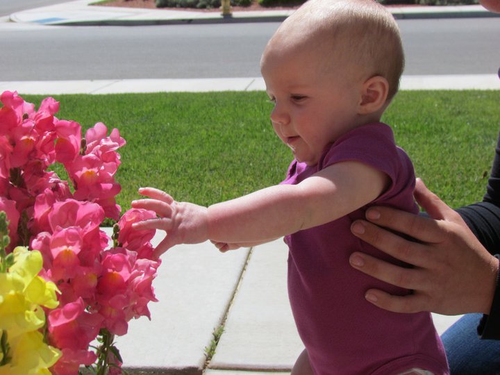 Cindy Jett's album, June 5, 2011