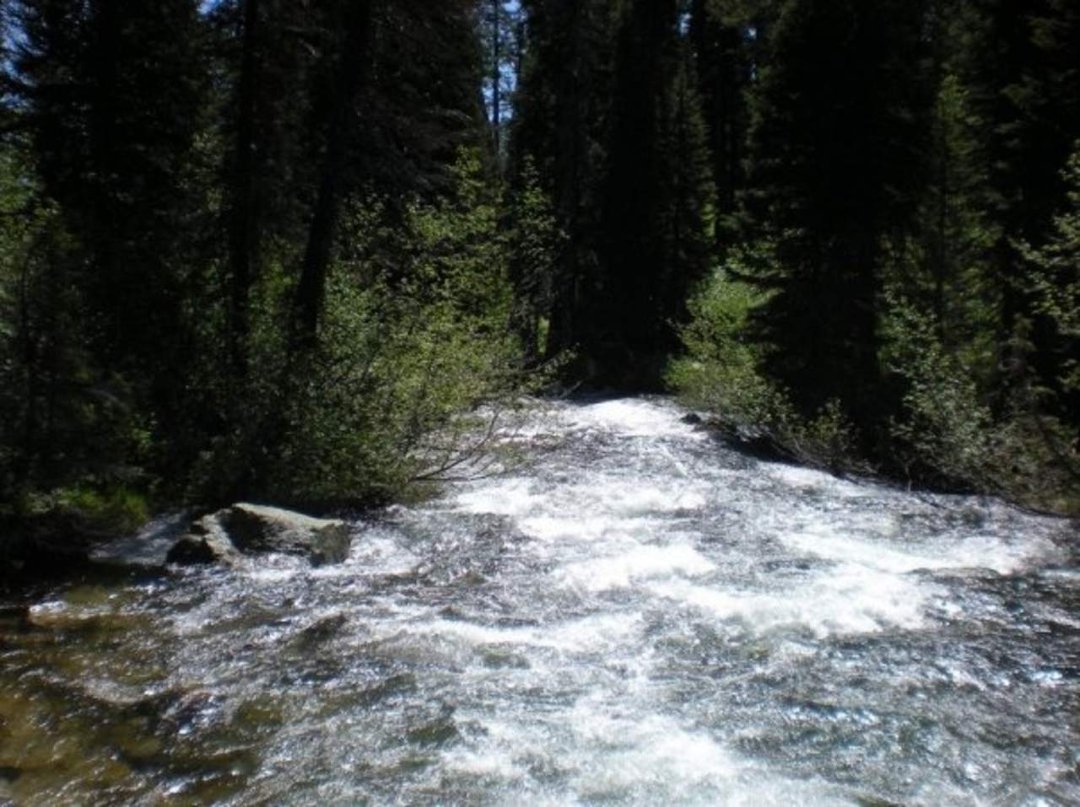 Lynden Kellis' album, Tetons / Yellowstone 2009