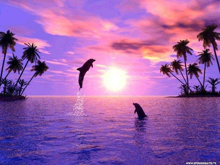 Susan Duncan's album, Cover Photos