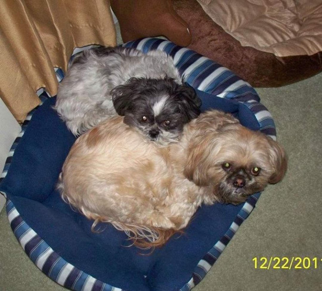 Nancy Dohm's album, Profile Pictures