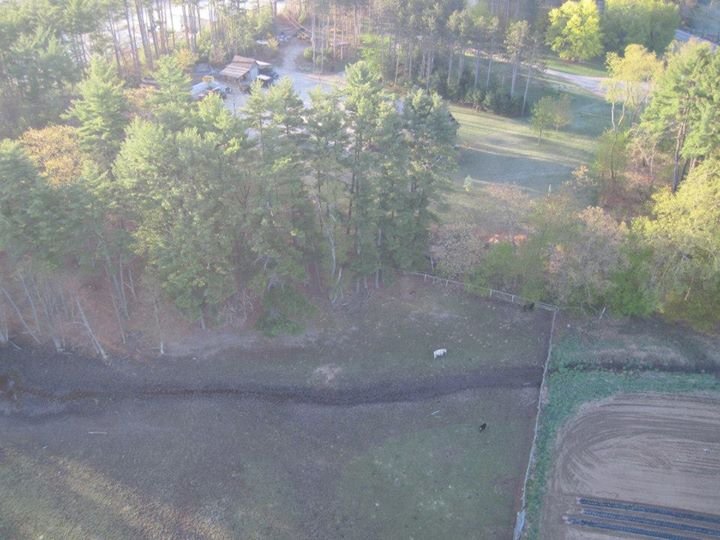 Sue Swift's album, Sunday Sunrise Hotair Balloon Ride