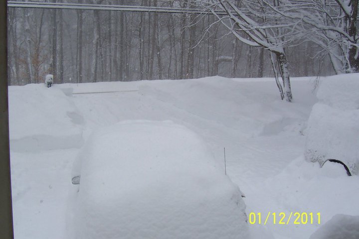 Reginald Folsom's album, January 27, 2011