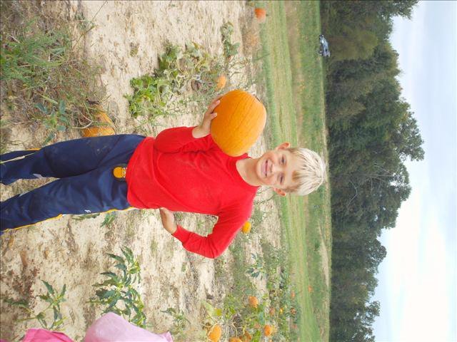 Amy Schaefer's album, Pumpkin patch 2010