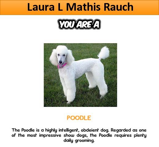 Laura Rauch's album, What Dog Are You? Photos
