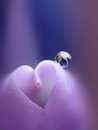 Mimi Fuller's album, Timeline Photos