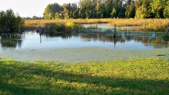 John Chobrda's album, Delaware