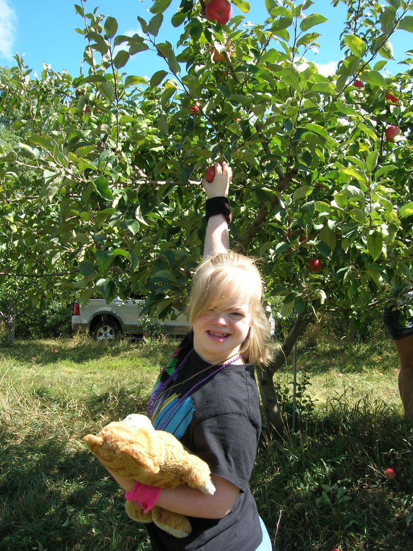 Joanne Miller's album, Profile Pictures