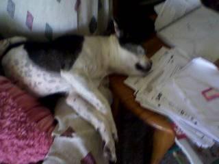 starr kesterson's album, My Pictures