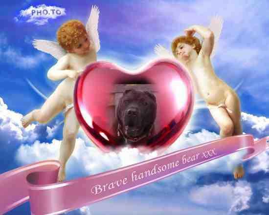 Bob Cameron's album, Cover Photos