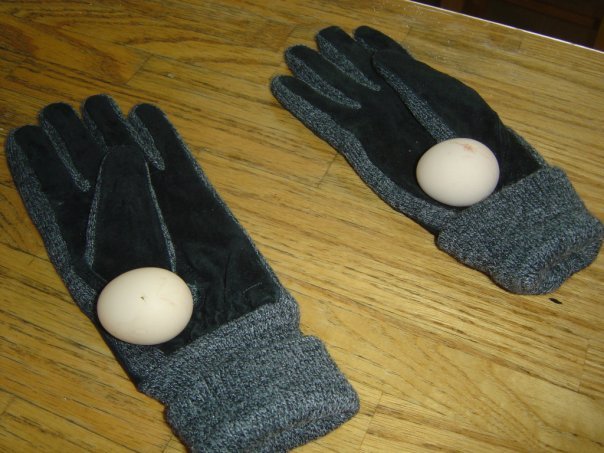 Jeff Varney's album, EGGS