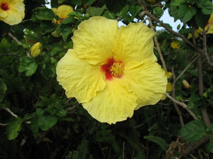 Deborah Cohn's album, Cover Photos