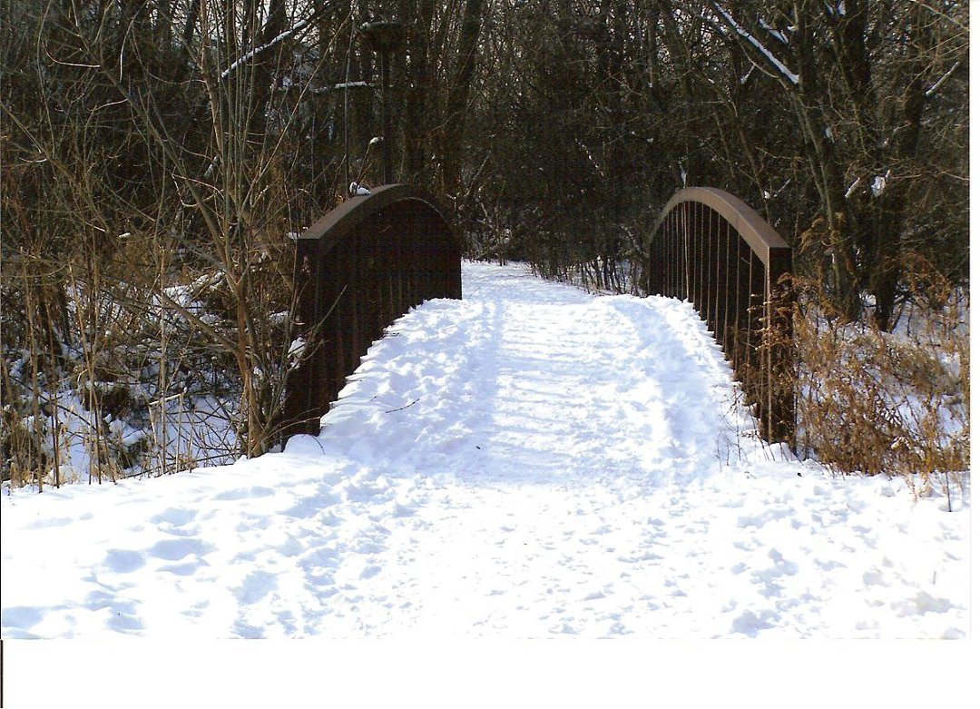 Terry Hornburg's album, The walking track