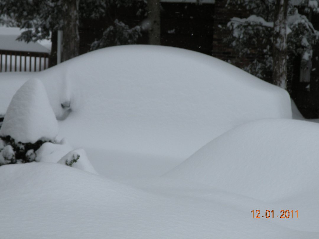 David Albin's album, 1-12-2011 Snow!!