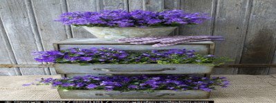 Sandi Hedrick's album, Cover Photos