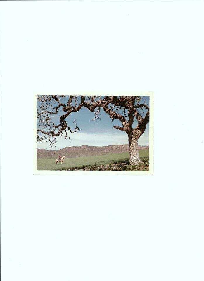 Darla Davenport's album, December 15, 2011