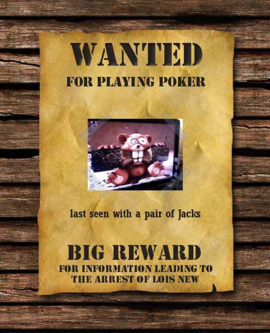 Lois New's album, WANTED!